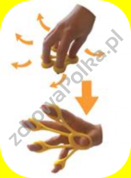 Ćwiczenia palców i dłoni 3 poziomy oporu zestaw
