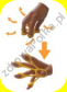 Ćwiczenia palców i dłoni 3 poziomy oporu zestaw