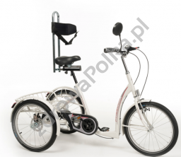 rower dla osób z porażeniem i niedowładem