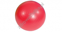Piłka do Rehabilitacji /Ćwiczeń 55cm - obciążenie do 350 kg