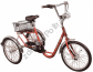 rowerek dla dzieci niepełnosprawnych