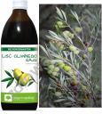 Liść oliwnego gaju sok 500ml