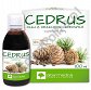 Cedrus olej z orzechów cedrowych 100ml