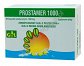 PROSTAMER 1000 - 80kaps. 