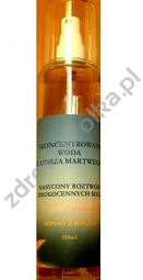 Skoncentrowana woda z Morza Martwego 250ml