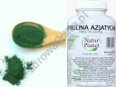 Spirulina 500 tabletek