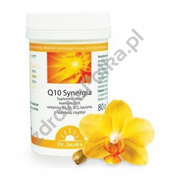 Q10 Synergia proszek 100 porcji 80g