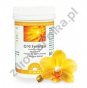 Q10 Synergia proszek 100 porcji 80g